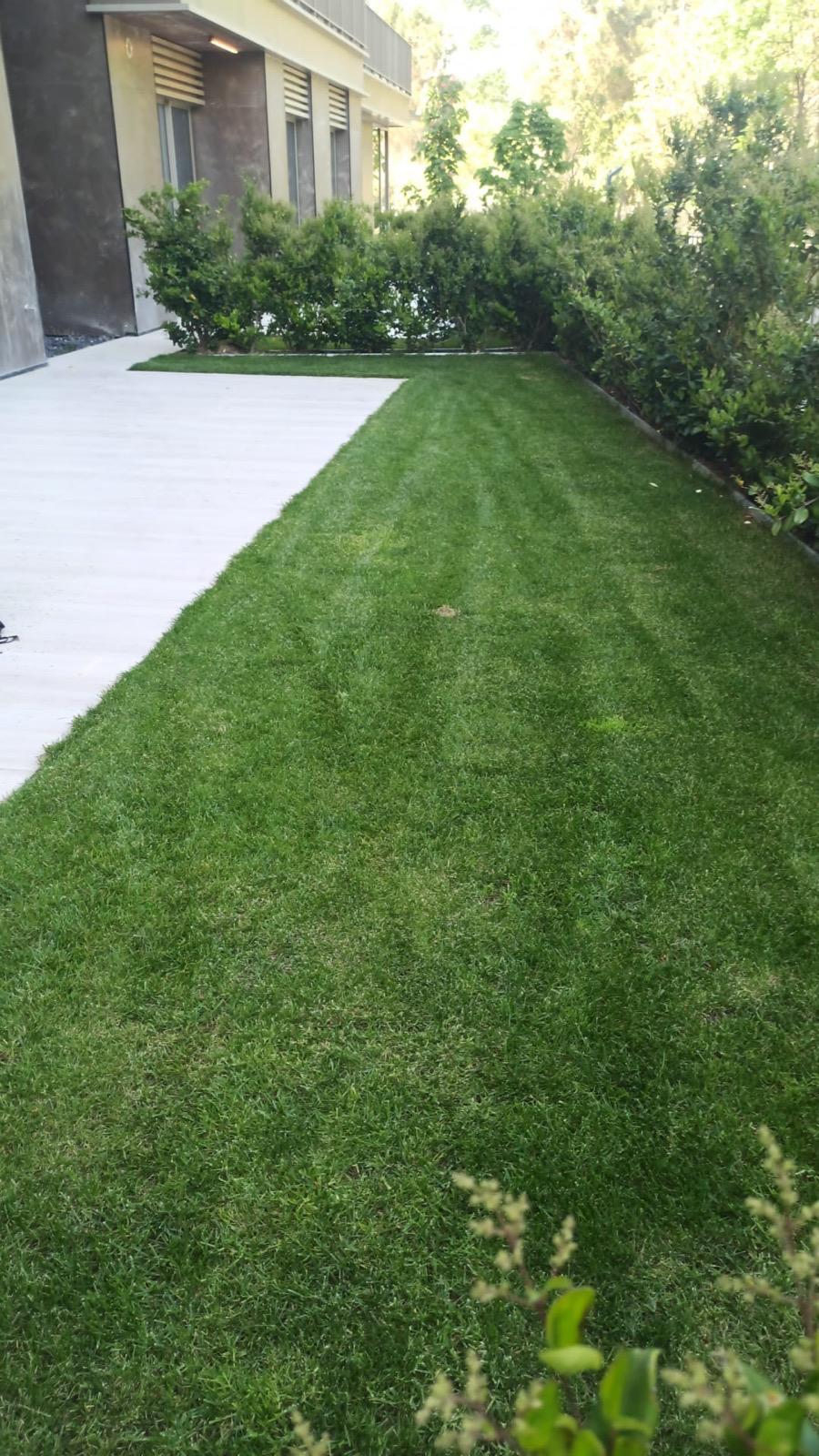 GÜNEŞ TARIM PEYZAJ VE TEMİZLİK